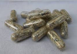 Acquista MICRO FUNGHI
